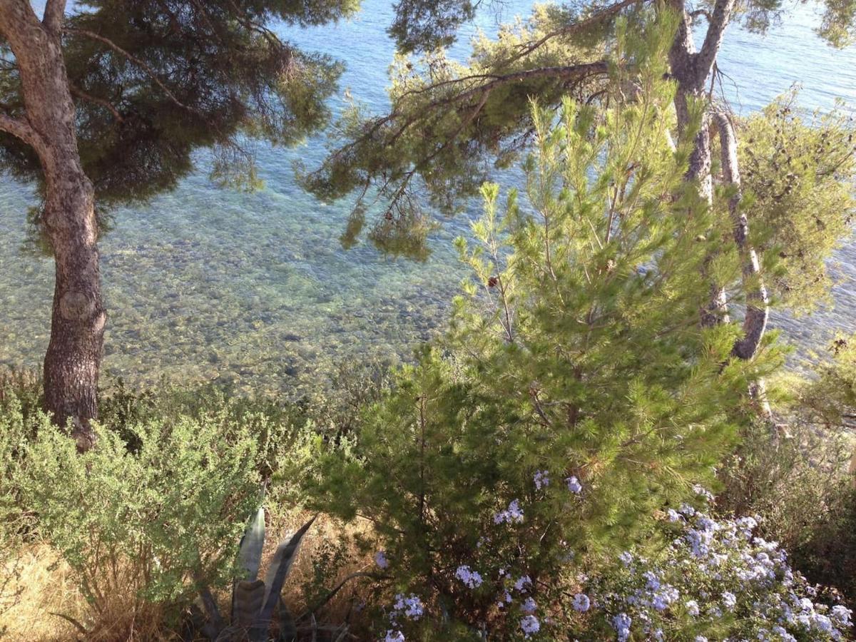 Studio 110 Grande Terrasse Proche Mer Bandol Eksteriør bilde